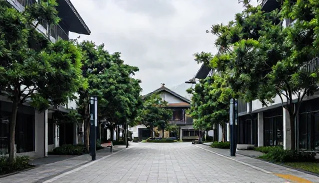 食品分装服务常见问题及应对措施，如何提升效率和质量